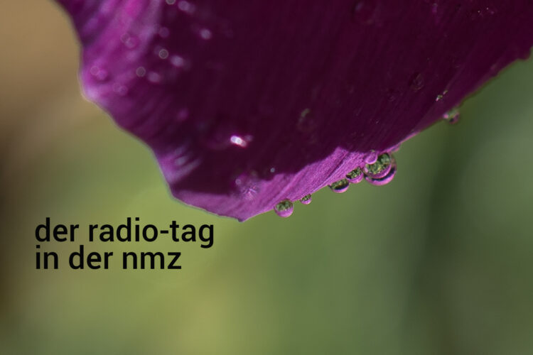 Der Radiotag in der nmz - KW 50: Foto: Hufner